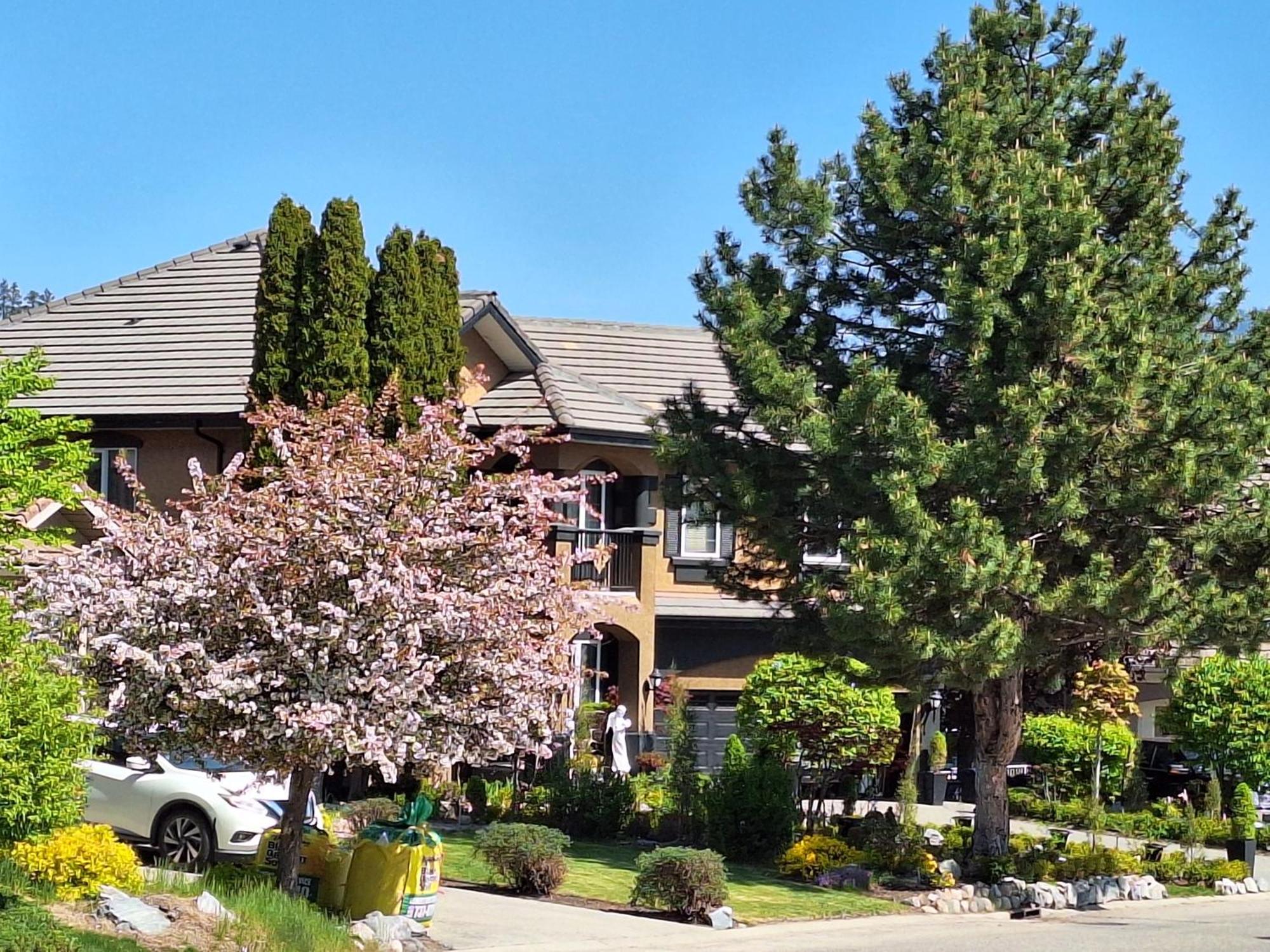 Bellissimo Frantalia * Kelowna