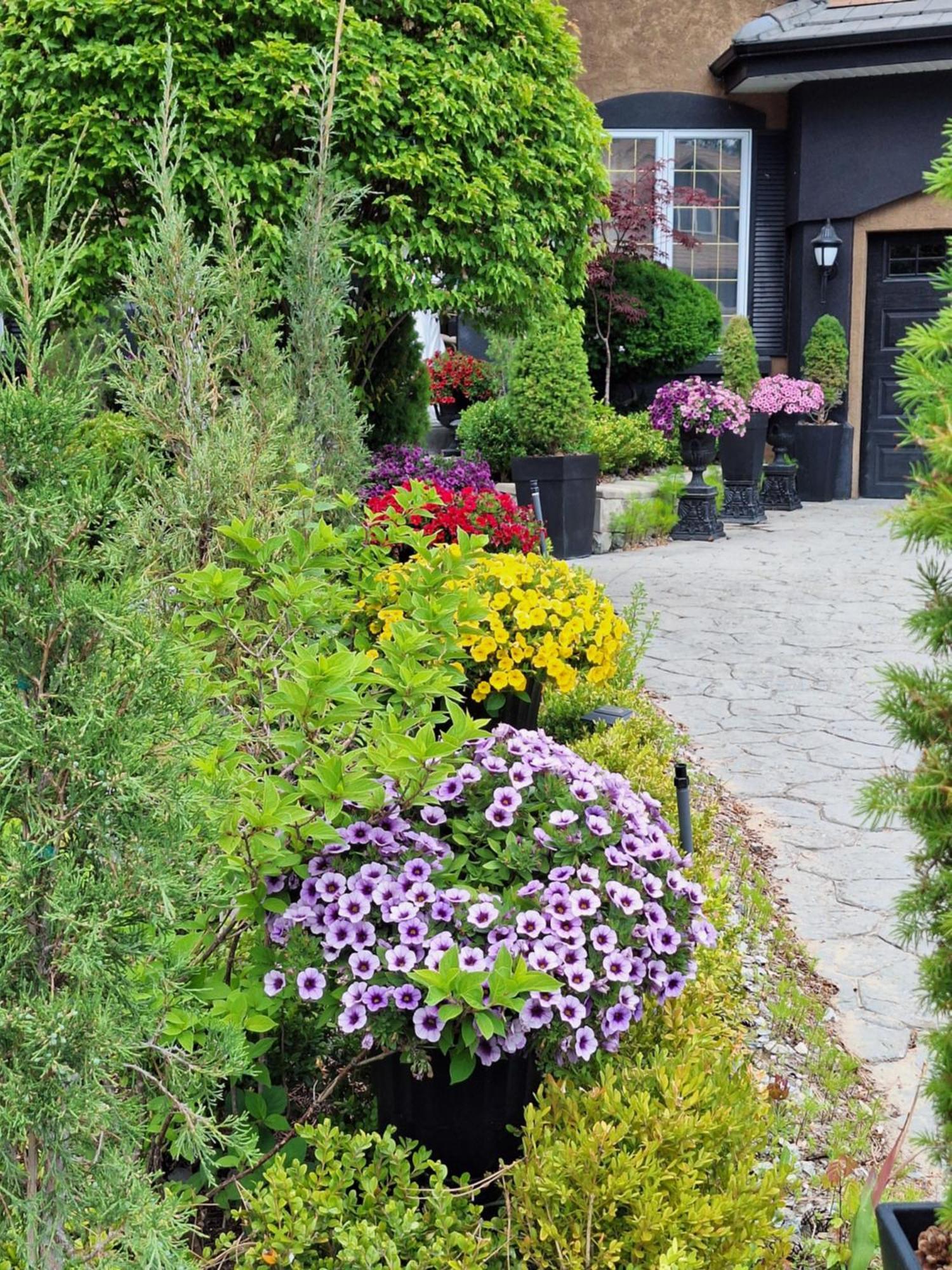 Bellissimo Frantalia Kelowna